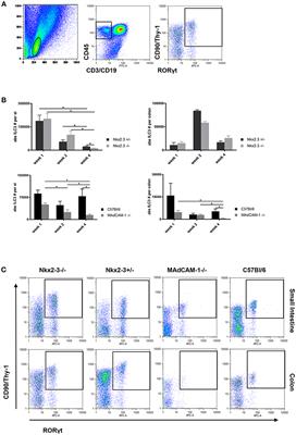 Differential Effects of the Absence of Nkx2-3 and MAdCAM-1 on the Distribution of Intestinal Type 3 Innate Lymphoid Cells and Postnatal SILT Formation in Mice